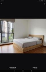 Carissa Park Condominium (D17), Condominium #577819201
